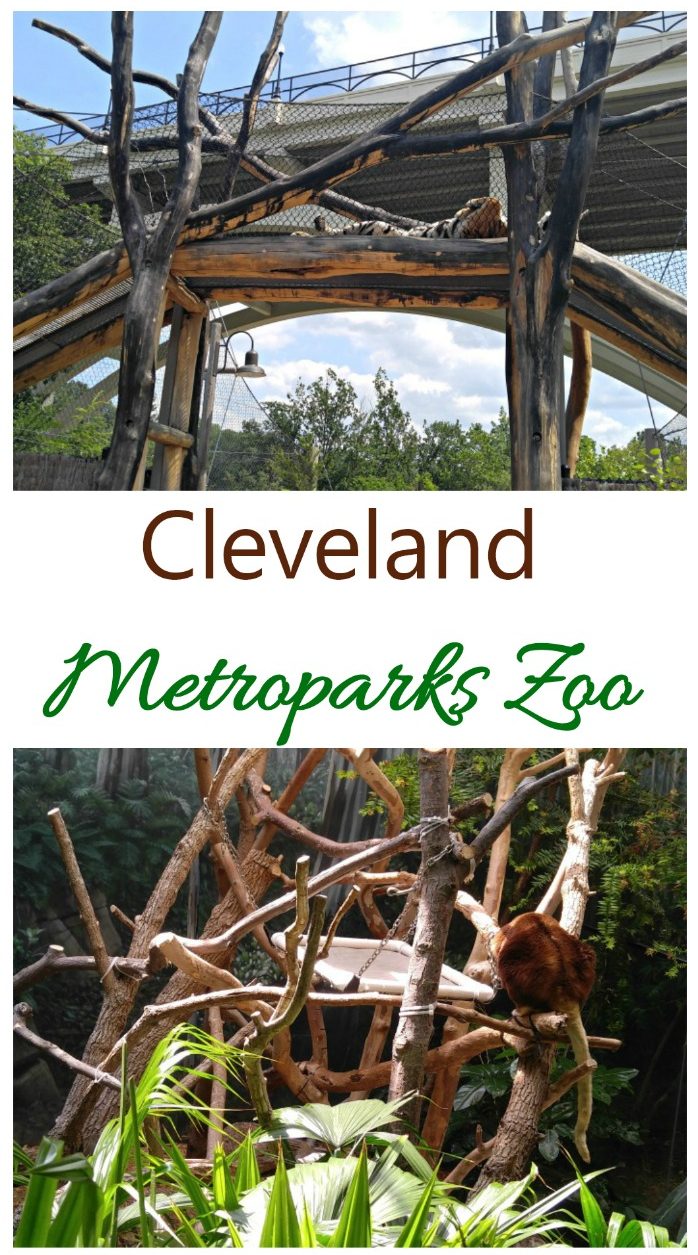 Vizită la grădina zoologică din Cleveland