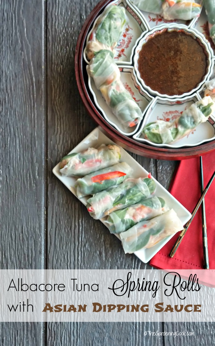 Albacore Tuna Rice Paper Rolls with Dipping Sauce