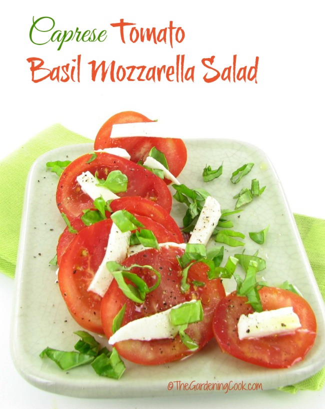 Caprese-salat med tomat, basilikum og mozzarella