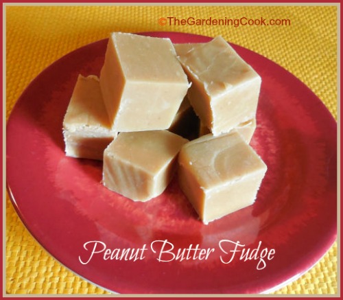 Enostavno arašidovo maslo Fudge - Marshmallow Fluff arašidovo maslo Fudge Recept
