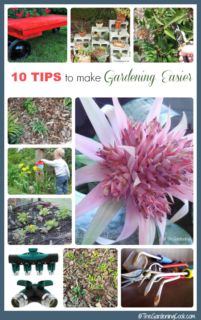 10 совети како да го олесните градинарството