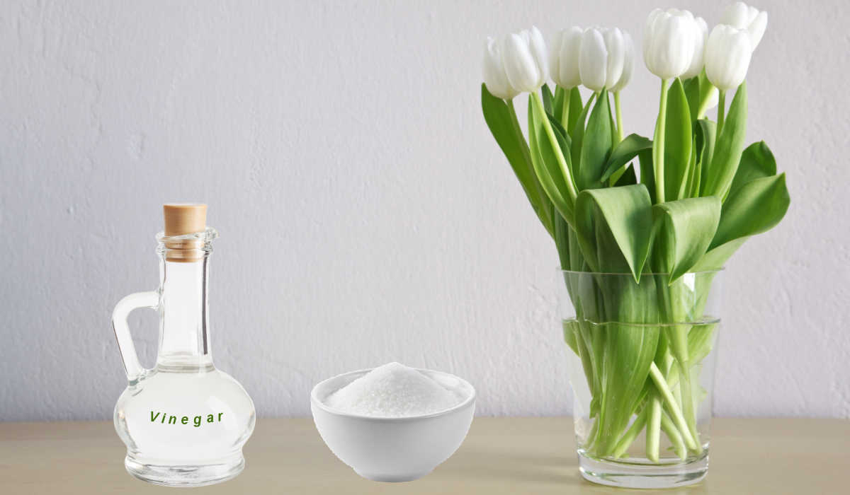 Kako učiniti da cvijeće duže traje u vazi – Sirće za cvijeće