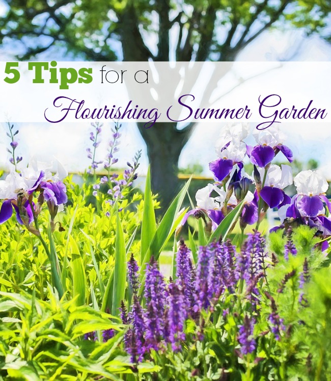 5 consejos para un jardín floreciente en verano - Ayude a su jardín a soportar el calor