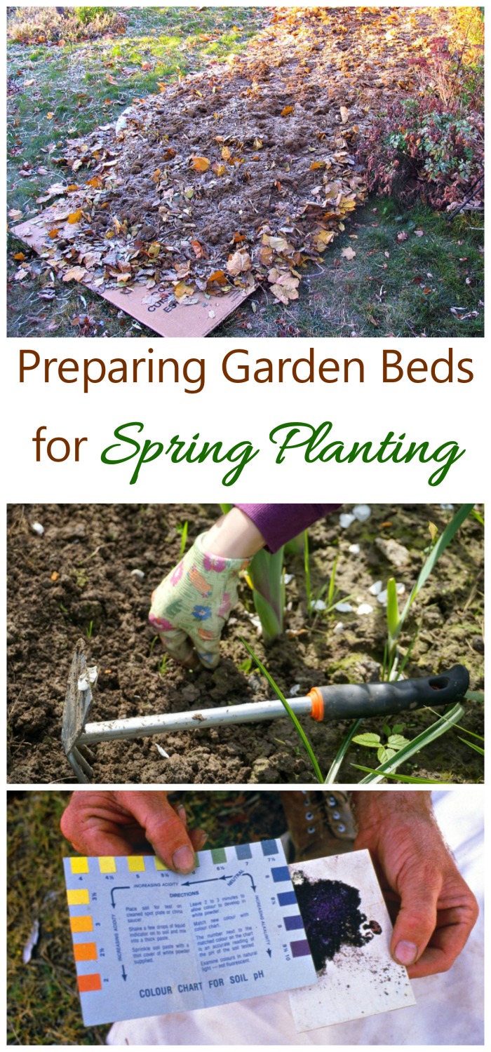 春の花壇の準備 - 葉マルチ - 土壌検査 - ラザニア・ガーデン・ベッド